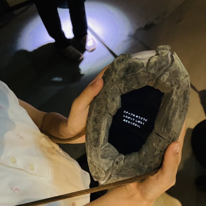 図鑑ミュージアムで使用する「記録の石」