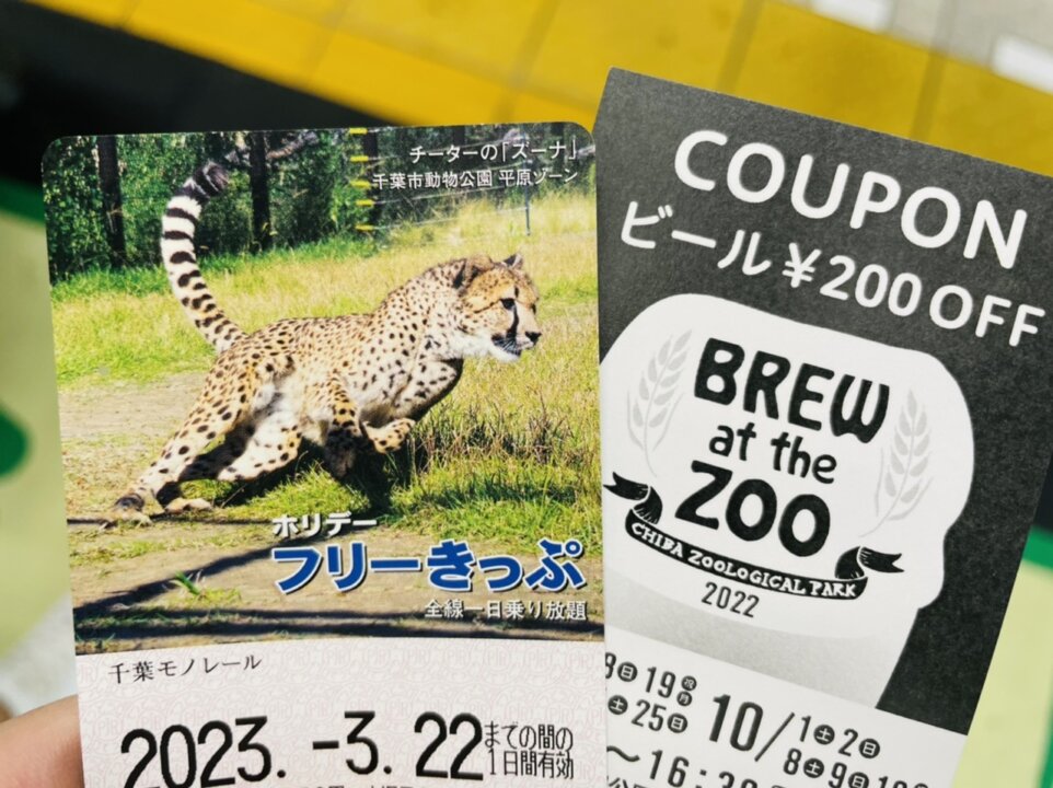 千葉市動物公園でビール購入に使える割引券